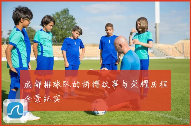 成都排球队的拼搏故事与荣耀历程全景纪实