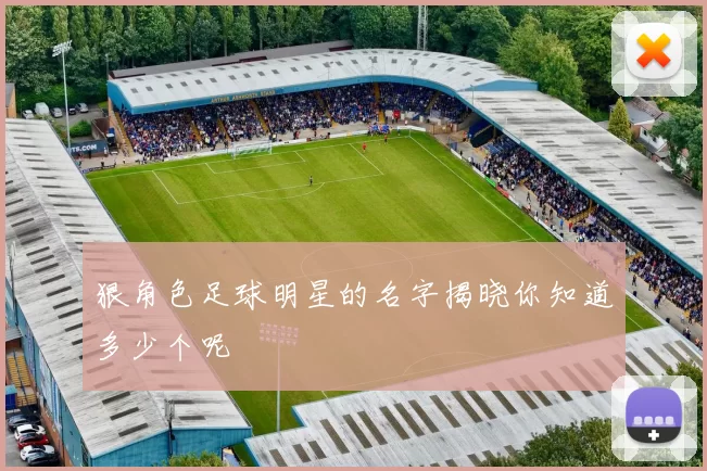 狠角色足球明星的名字揭晓你知道多少个呢