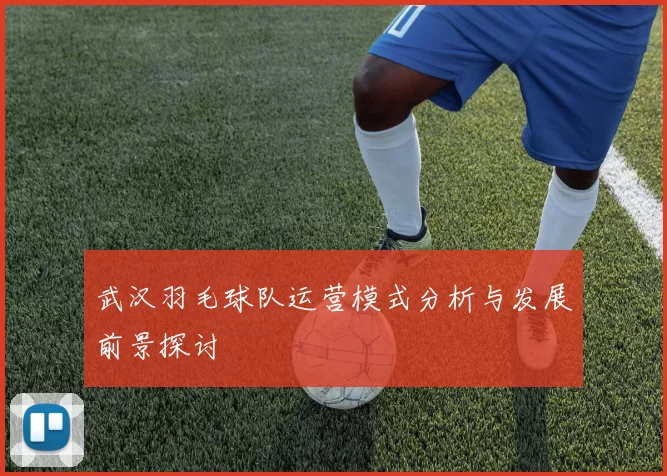 武汉羽毛球队运营模式分析与发展前景探讨