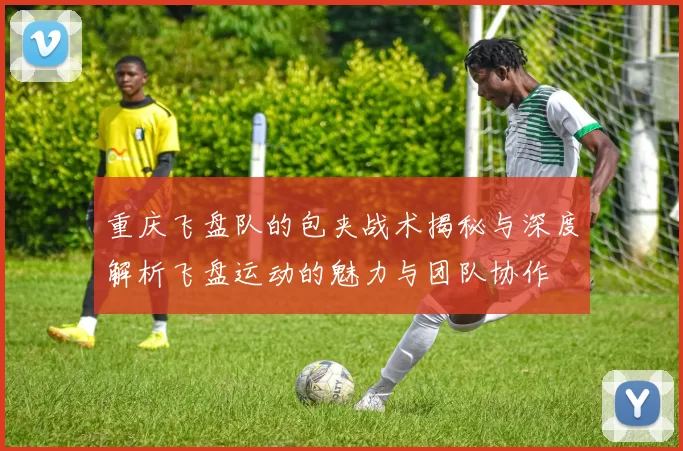 重庆飞盘队的包夹战术揭秘与深度解析飞盘运动的魅力与团队协作