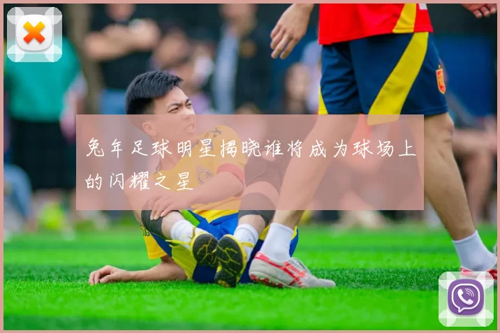 兔年足球明星揭晓谁将成为球场上的闪耀之星