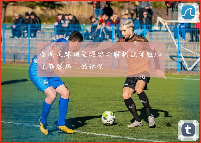 香港足球明星昵称全解析让你轻松了解球场上的他们