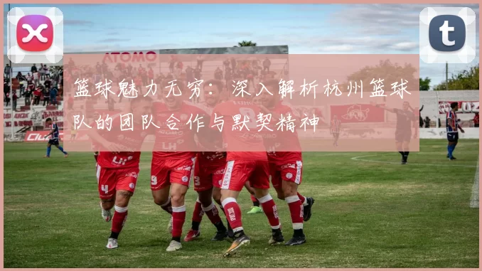 篮球魅力无穷：深入解析杭州篮球队的团队合作与默契精神