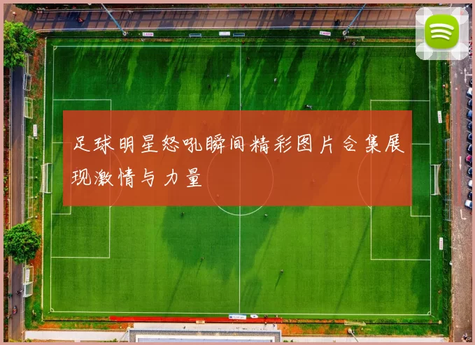 足球明星怒吼瞬间精彩图片合集展现激情与力量