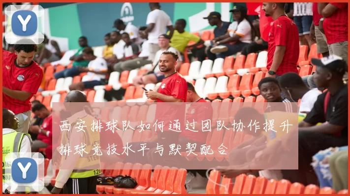 西安排球队如何通过团队协作提升排球竞技水平与默契配合