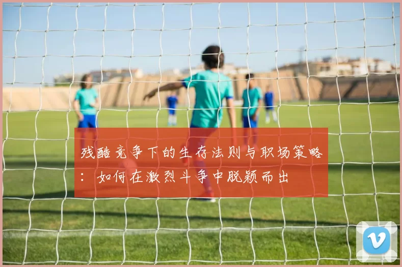 残酷竞争下的生存法则与职场策略：如何在激烈斗争中脱颖而出