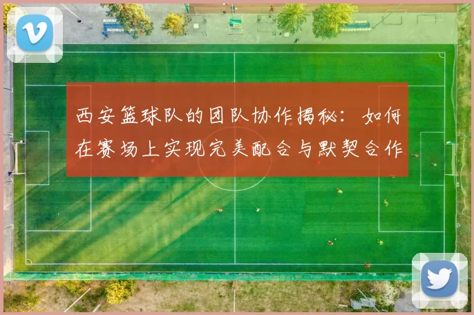 西安篮球队的团队协作揭秘：如何在赛场上实现完美配合与默契合作