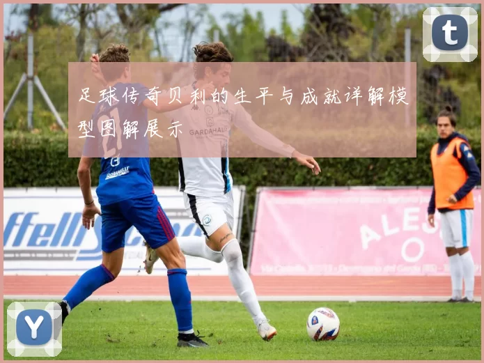足球传奇贝利的生平与成就详解模型图解展示