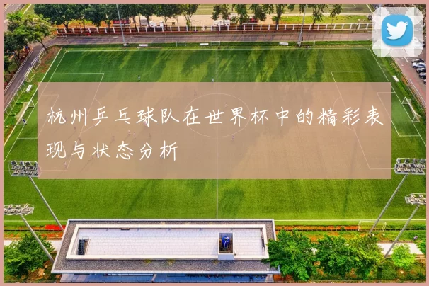 杭州乒乓球队在世界杯中的精彩表现与状态分析