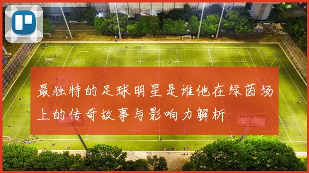 最独特的足球明星是谁他在绿茵场上的传奇故事与影响力解析
