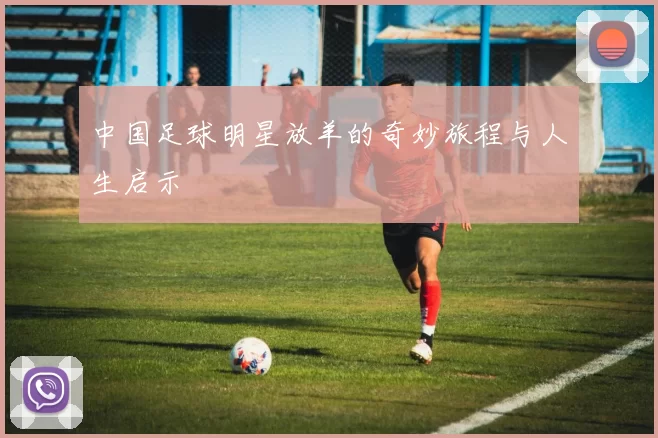 中国足球明星放羊的奇妙旅程与人生启示