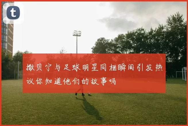 撒贝宁与足球明星同框瞬间引发热议你知道他们的故事吗