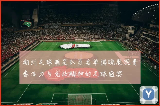 潮州足球明星队员名单揭晓展现青春活力与竞技精神的足球盛宴