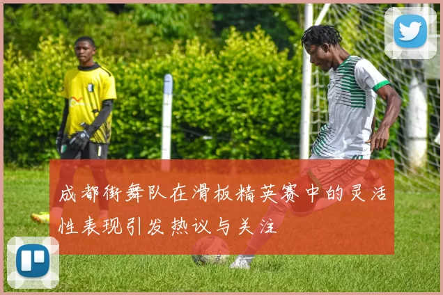 成都街舞队在滑板精英赛中的灵活性表现引发热议与关注