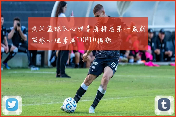 武汉篮球队心理素质排名第一最新篮球心理素质TOP10揭晓