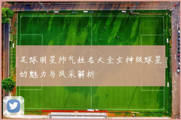足球明星帅气姓名大全女神级球星的魅力与风采解析