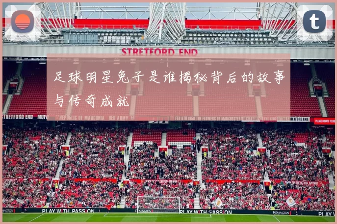足球明星兔子是谁揭秘背后的故事与传奇成就