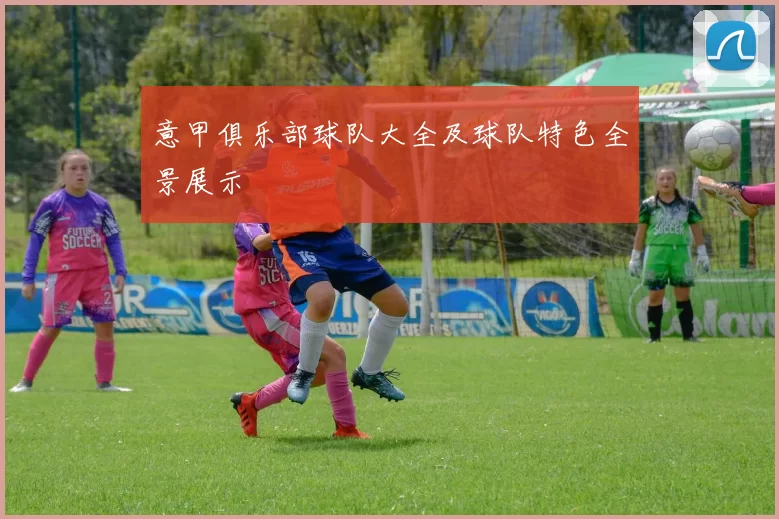 意甲俱乐部球队大全及球队特色全景展示