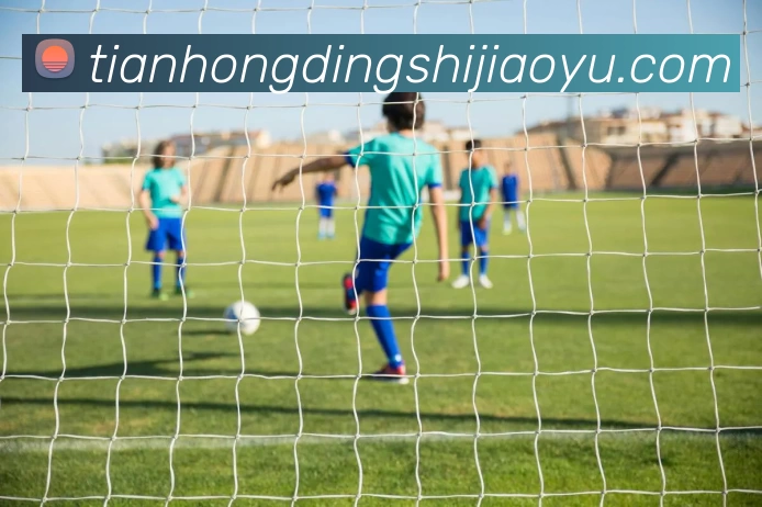 数据分析功能